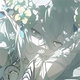 202309033294 avatar