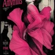 belladonna_amyrillis avatar
