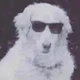 bruxa avatar
