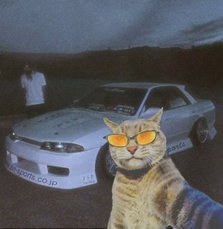 catbananashake