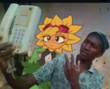 catmunchee