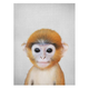 junkiemonkey69 avatar
