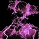 jxt_mairusu avatar