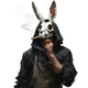 master_noob avatar