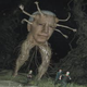 percgilius avatar
