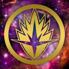 procyonlotor69