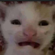 sarunchu avatar