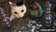 thatguyyeah avatar