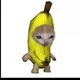 user18900508123 avatar