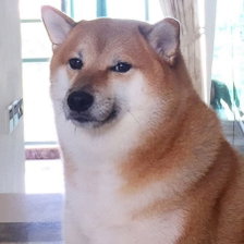 winterboi